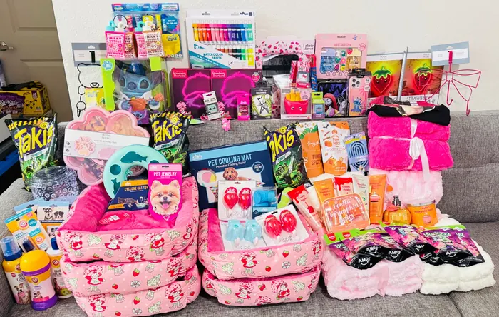 Compra variada con artículos de temporada, hogar y accesorios traídos de Estados Unidos